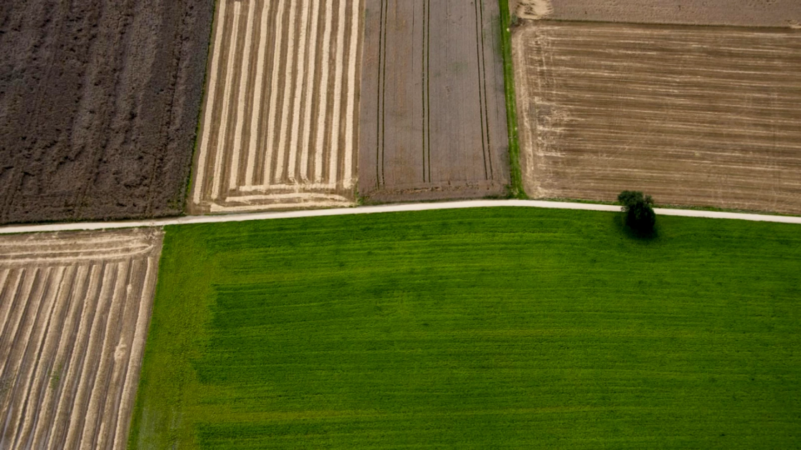Fribourg : projet-pilote de cartographie des sols achevé