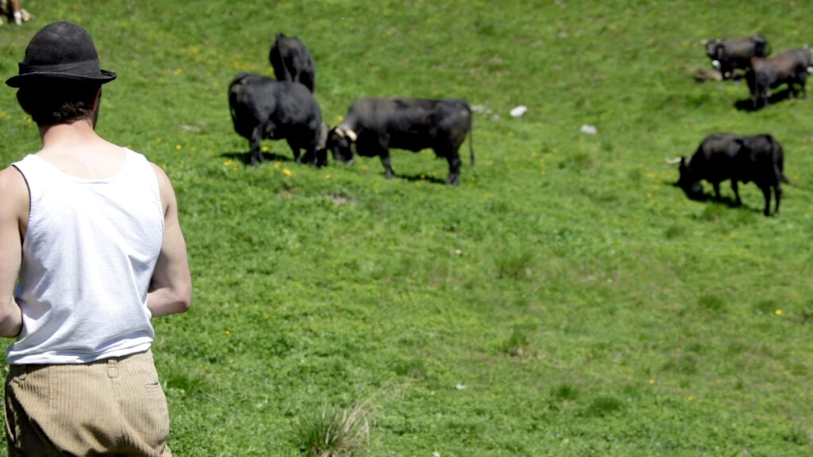 Pénurie de bergers expérimentés dans les alpages