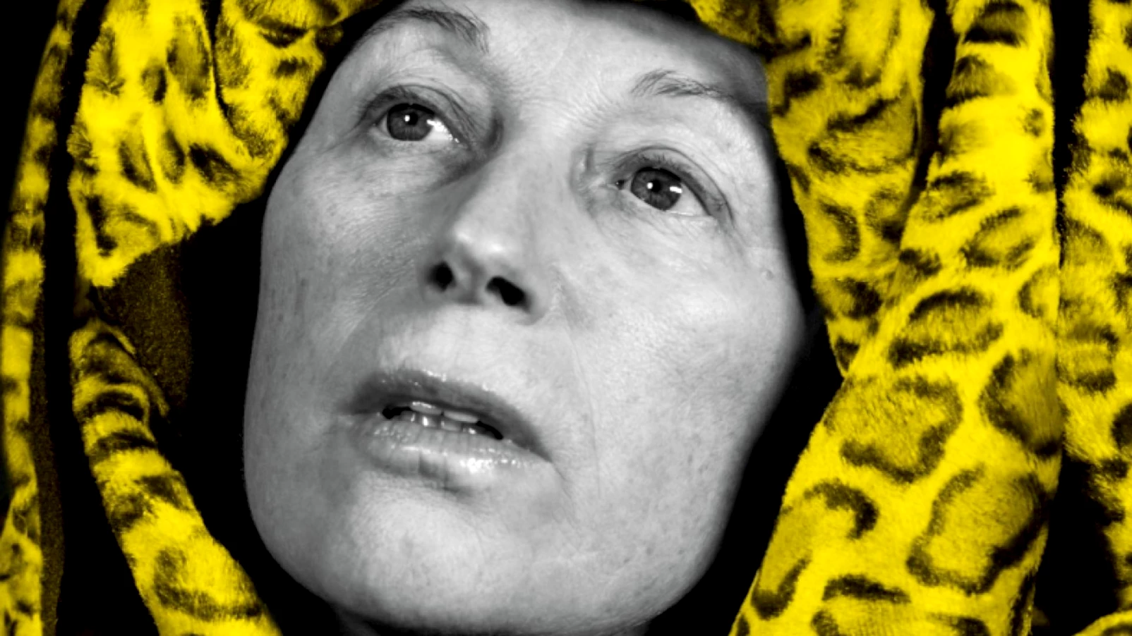 Cindy Sherman signe l'affiche du festival de Locarno sur l'identité