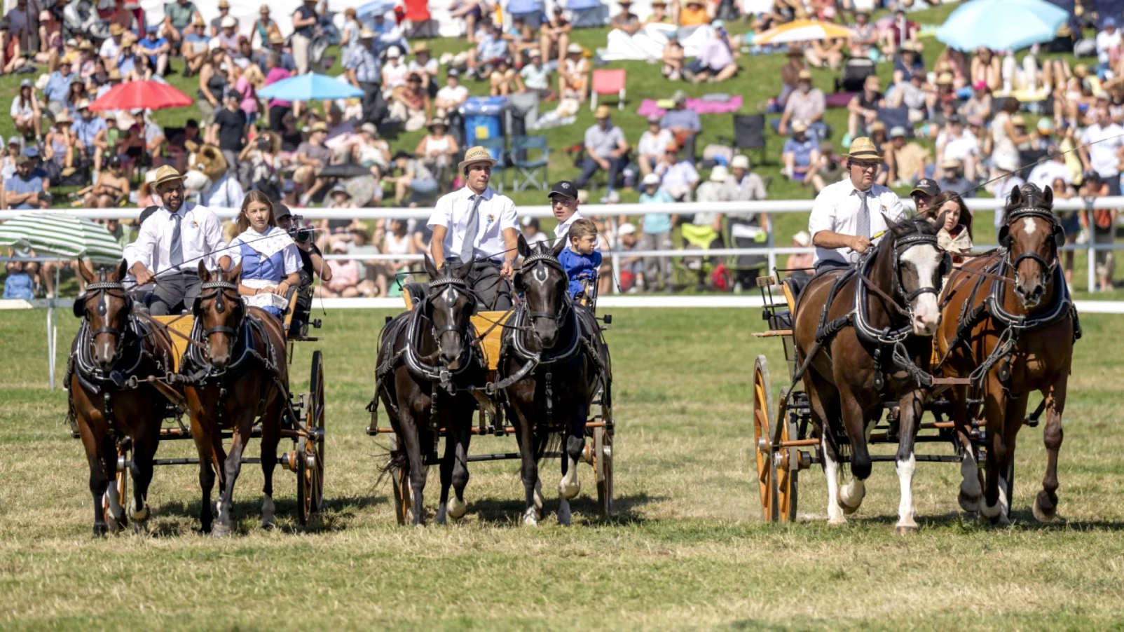 Marché-concours 121e édition : le canton de Berne invité d'honneur