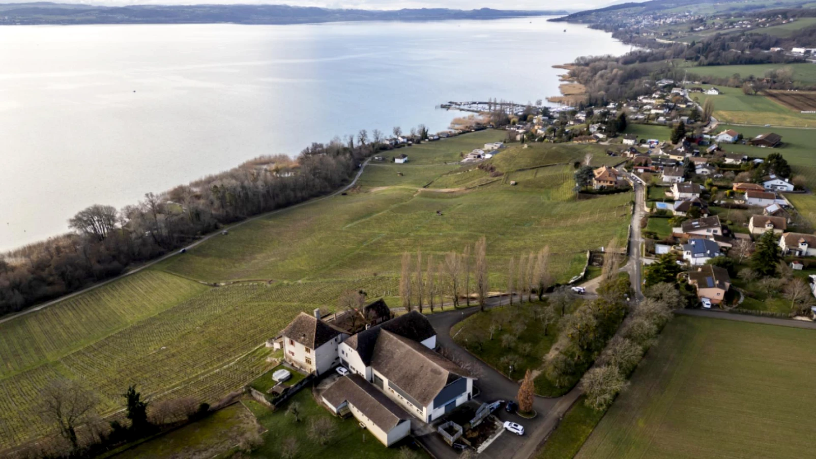 Neuchâtel : soutien 2026-2027 à la viticulture, promotion et arrachage