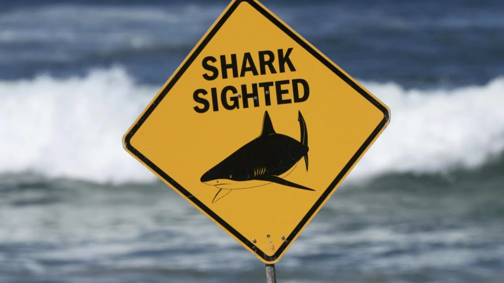 Attaque de requin à Rottnest : homme de 30 ans en état critique