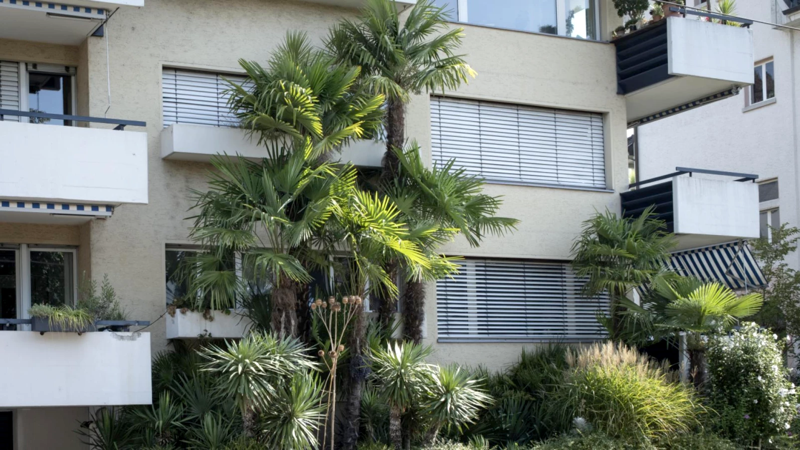 Sève Favre à Oron et Mézières : double exposition sur plantes invasives