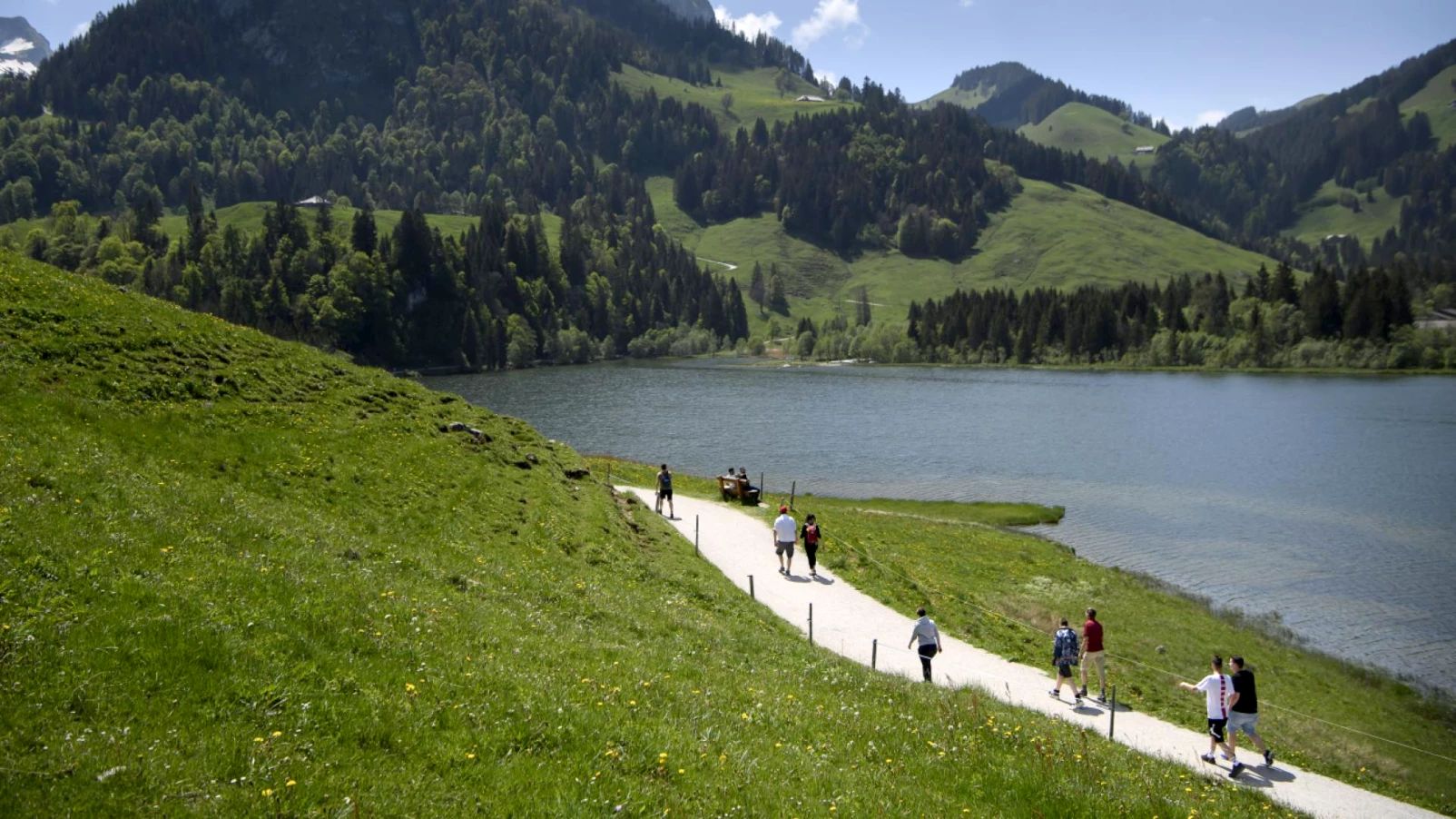 Lac Noir (Fribourg) : randonneur de 20 ans tué par la chute d'un arbre