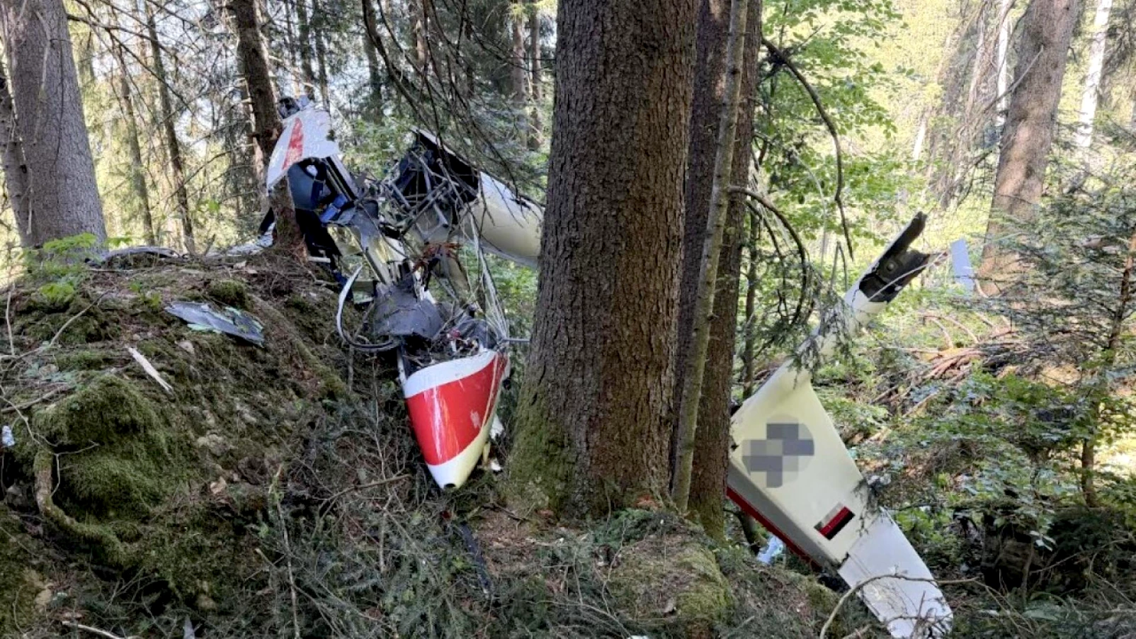 Pilote de planeur décède après un crash en forêt à Reichenburg (SZ)