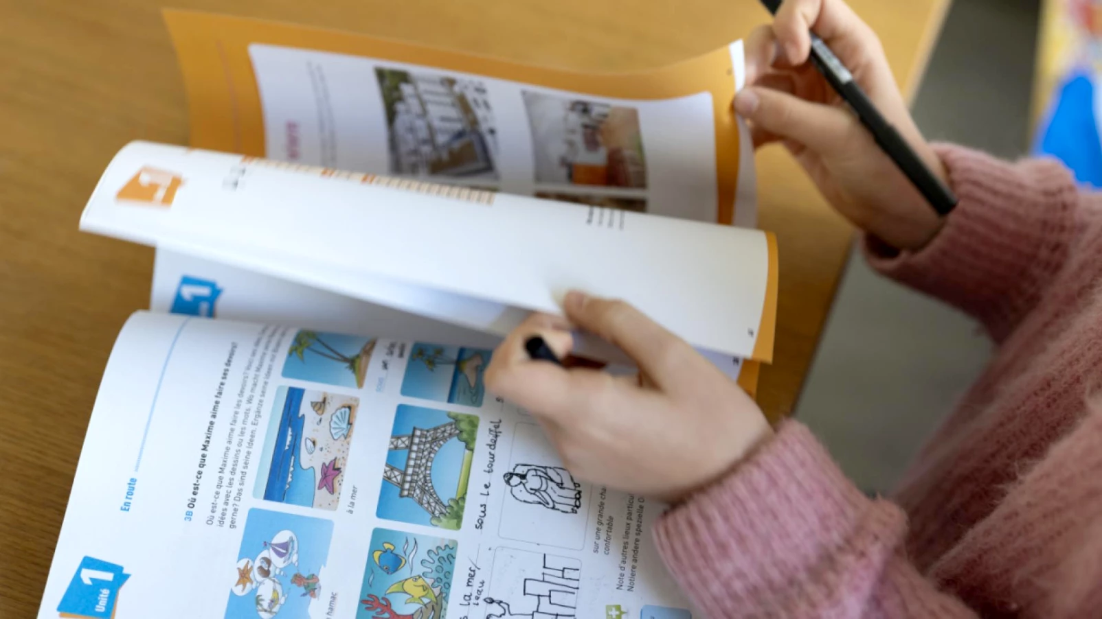 Le PVL retire sa motion sur l'enseignement précoce du français à Berne