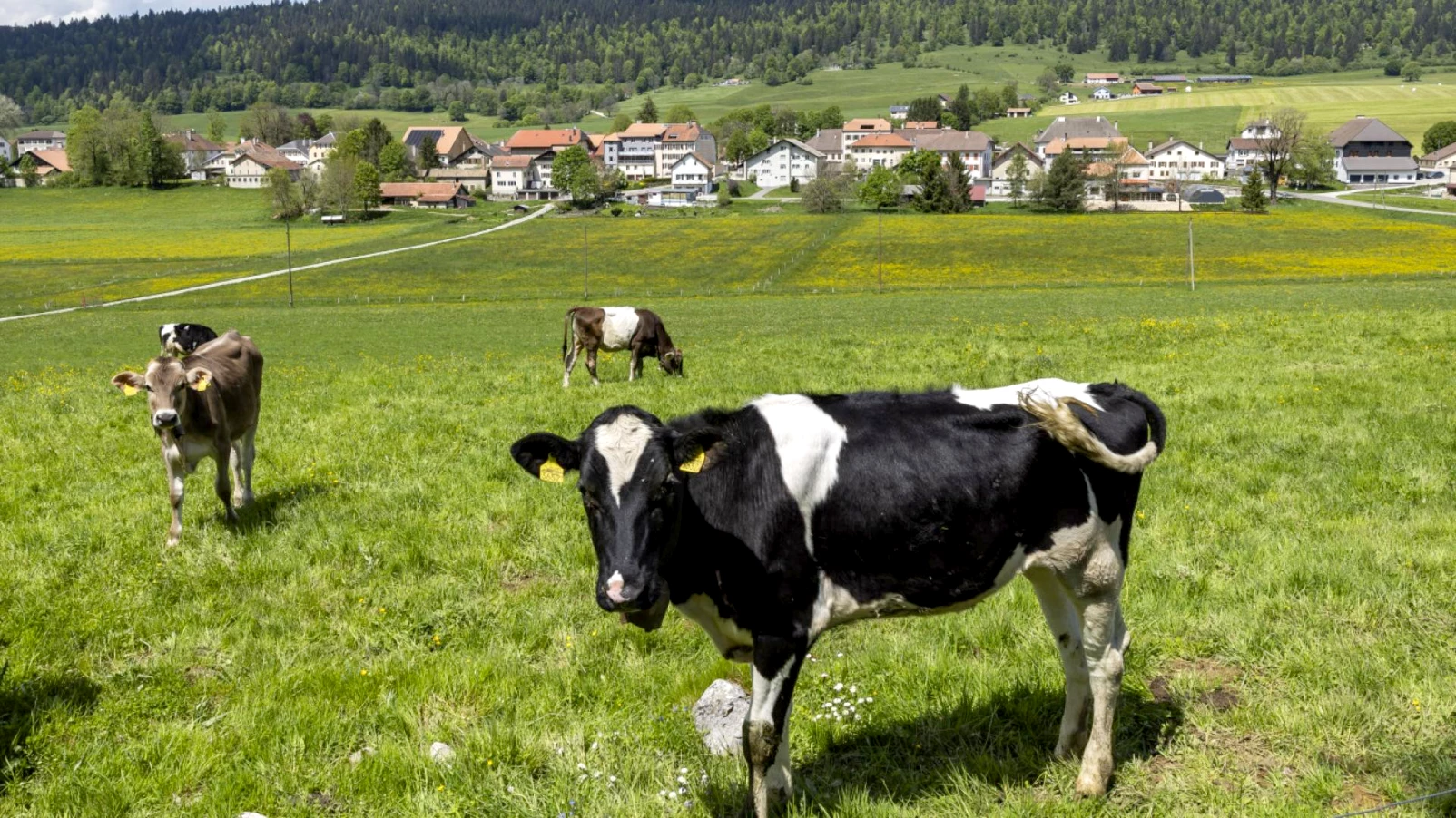 Les Suisses satisfaits de leur vie malgré politique et finances faibles