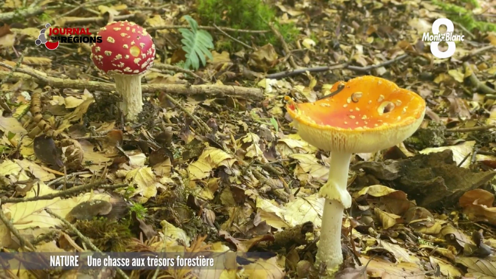 Journal du 7 octobre 2023