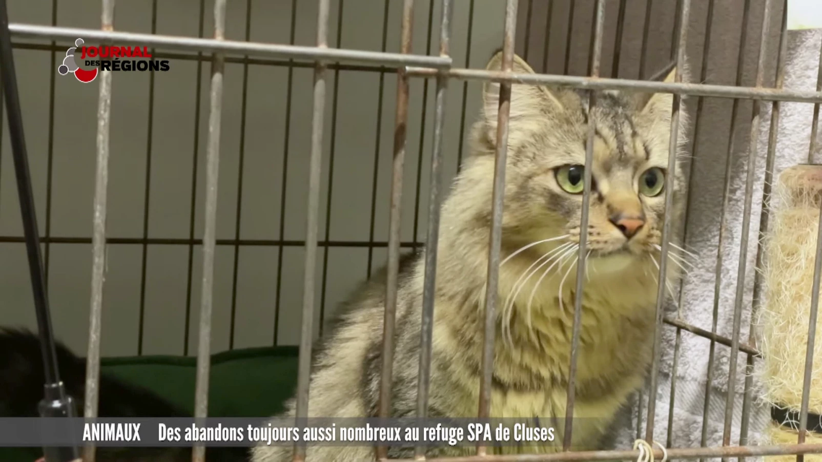 Journal du 13 janvier 2024