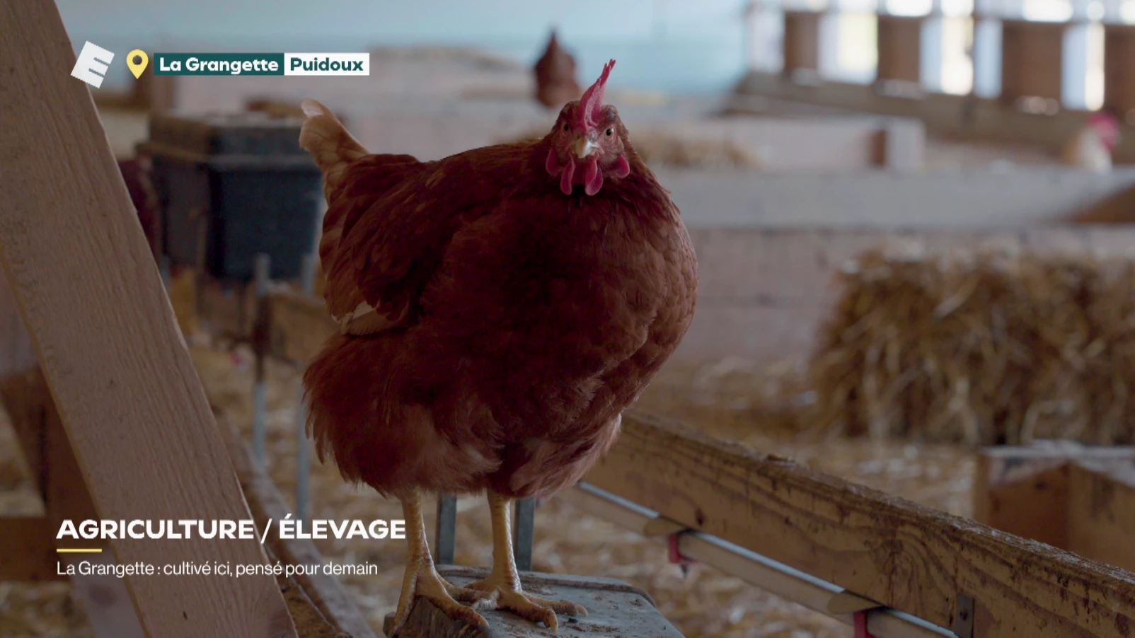 La Grangette: cultivé ici, pensé pour demain