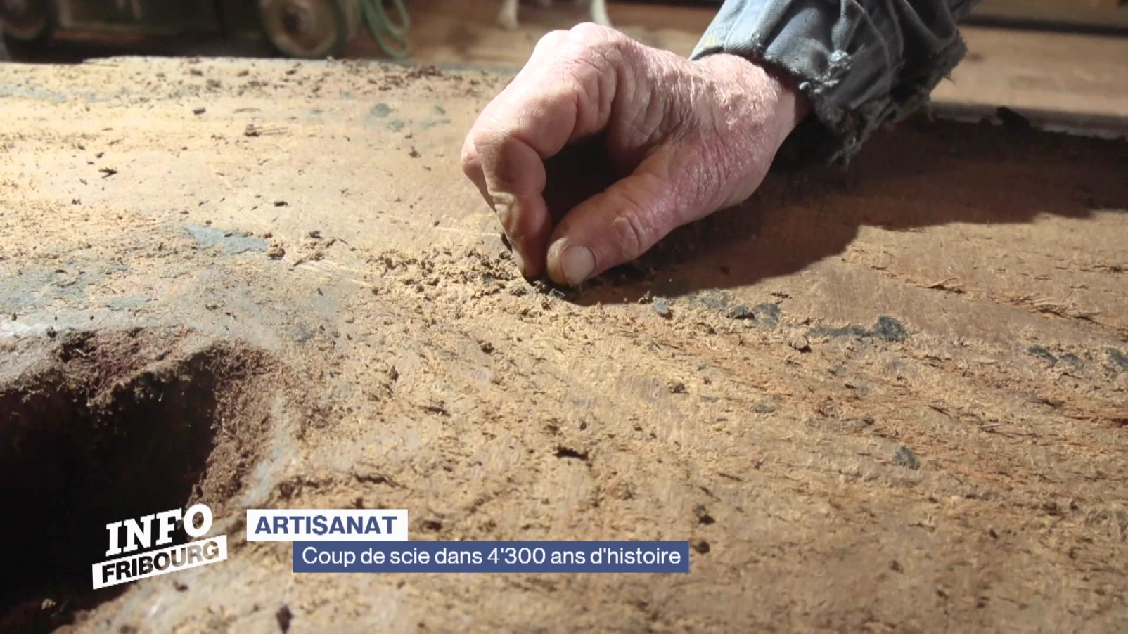 Coup de scie dans 4'300 ans d'histoire