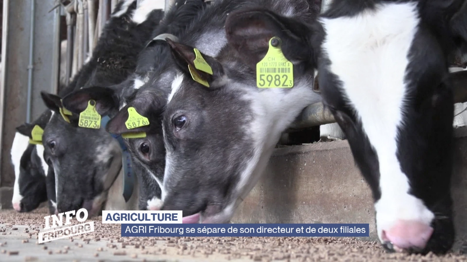AGRI Fribourg se sépare de son directeur et de deux filiales