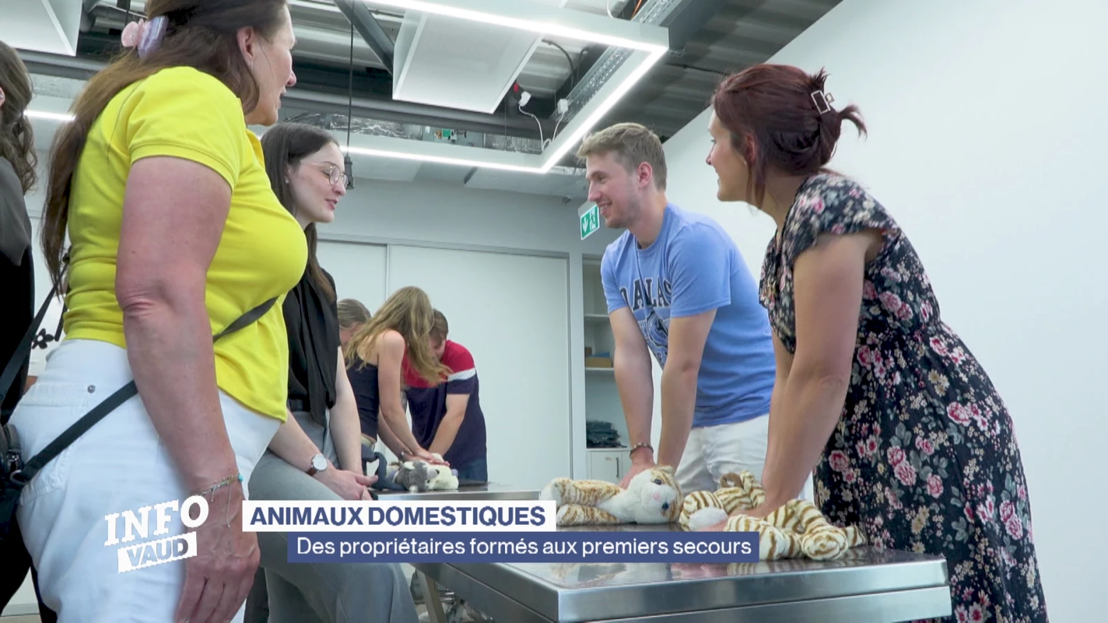 Des propriétaires d'animaux formés aux premiers secours