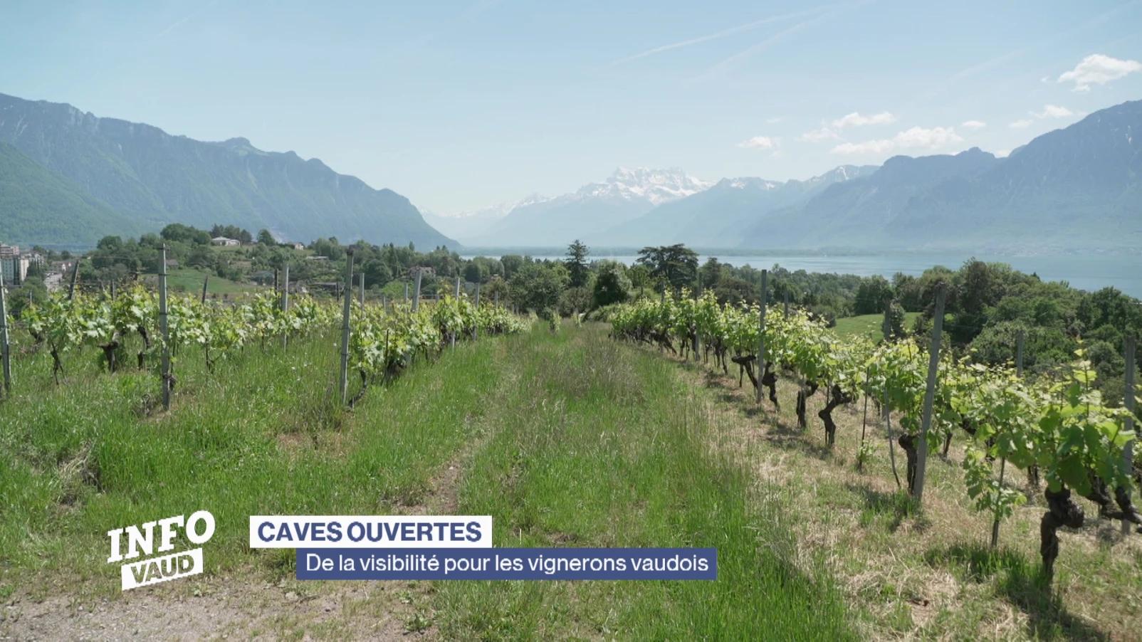 Les Caves Ouvertes offrent de la visibilité aux vignerons