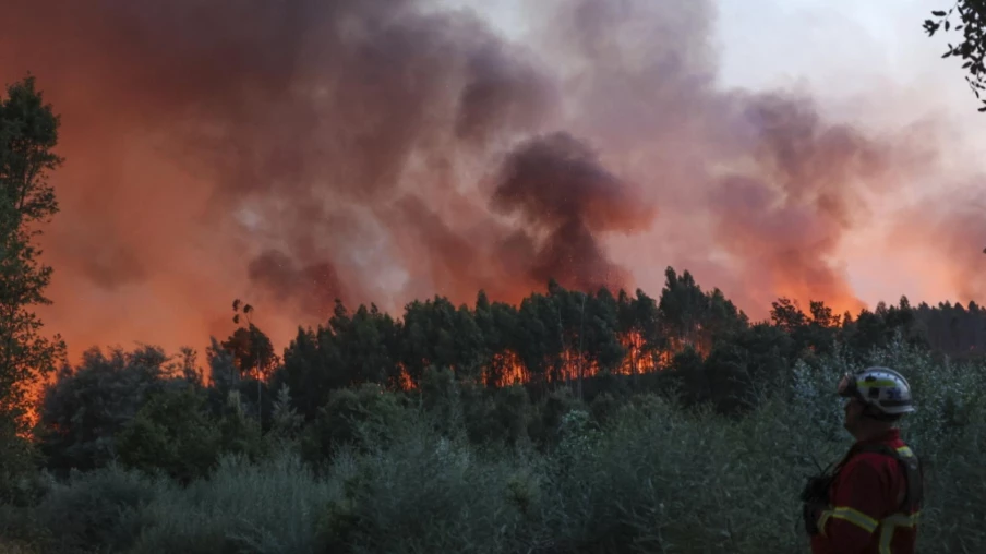 Feux de forêt au Portugal : plus de 700 pompiers mobilisés à Seia