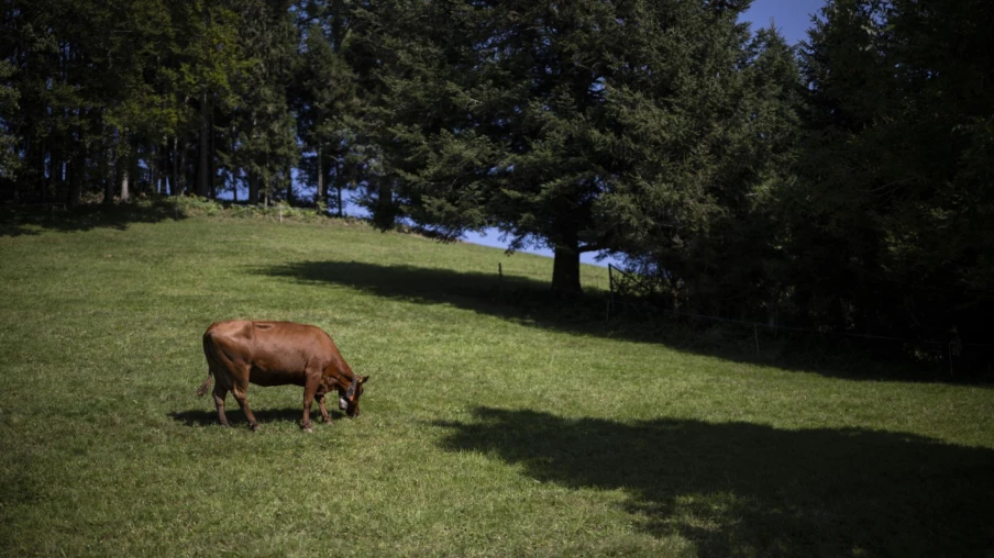 Suisse: le parlement exige des valeurs limites pour les PFAS