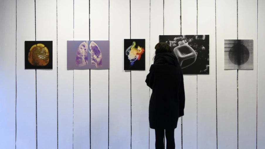 Le FNS contraint d'économiser: moins de financements pour la recherche