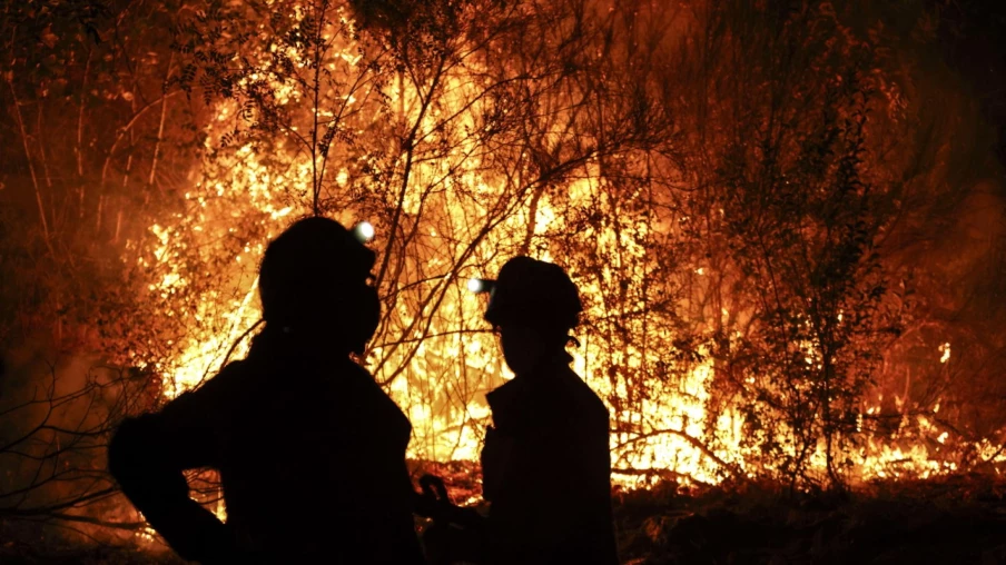 Record d'émissions de carbone en Europe après les feux de forêt d'été