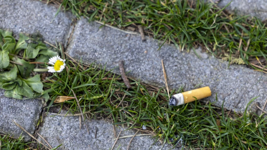 Ramassage de mégots et capsules samedi au parc Bourget à Lausanne
