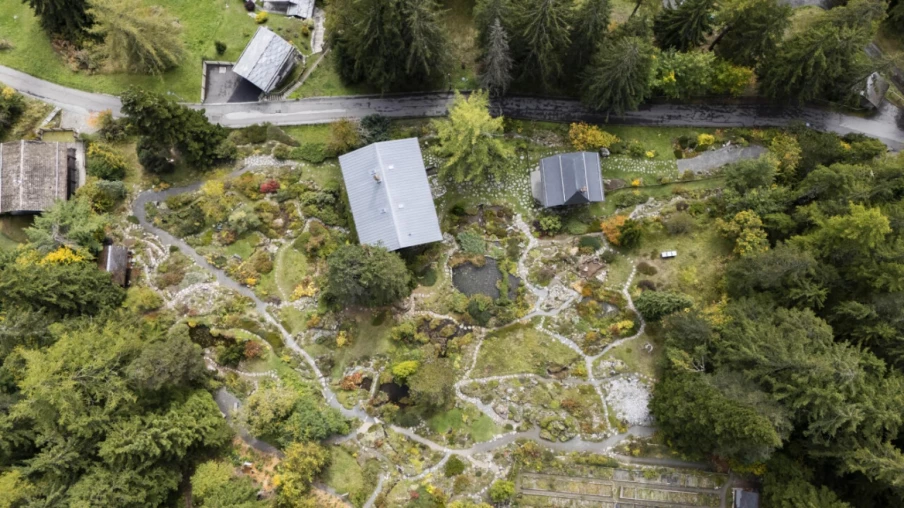 Valais: fondateur du jardin Flore-Alpe lié à l'Allemagne nazie