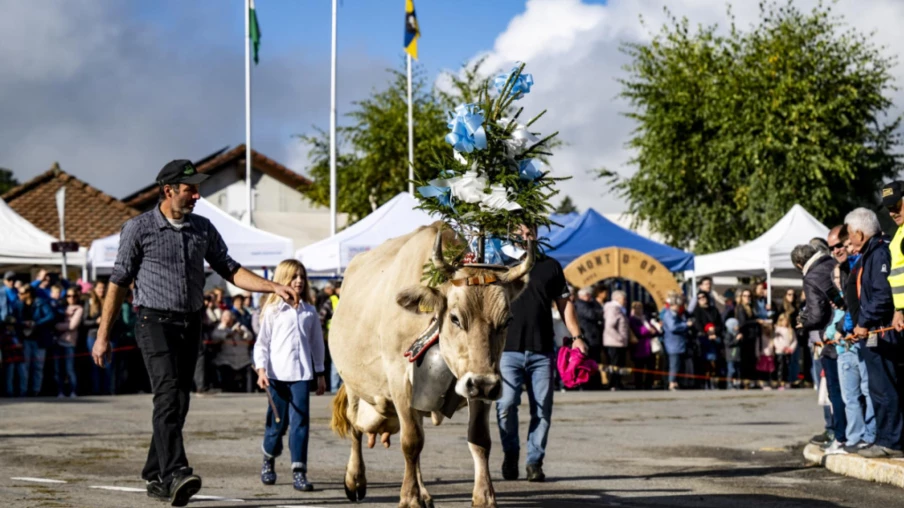 27e fête du Vacherin Mont-d'Or à Charbonnières, Vallée de Joux
