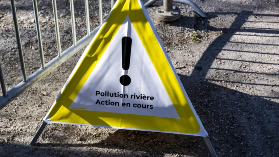 Une pollution dans la Seymaz tue des centaines de poissons