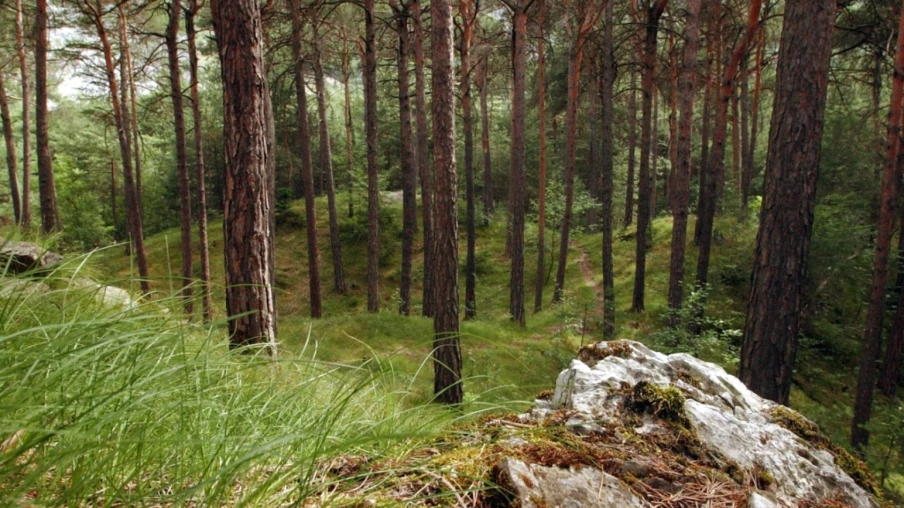 La Fête de la nature invite à ouvrir ses oreilles