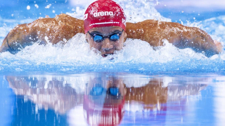 Coupe du monde petit bassin: Noè Ponti 2e sur 50 m papillon à Carmel