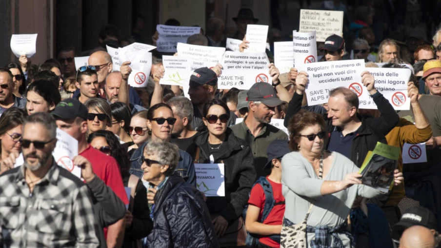 Éleveurs tessinois manifestent à Bellinzone contre l'abandon des alpages
