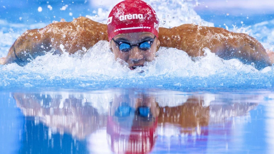 Coupe du monde: Noè Ponti deuxième du 50 m papillon à Westmont