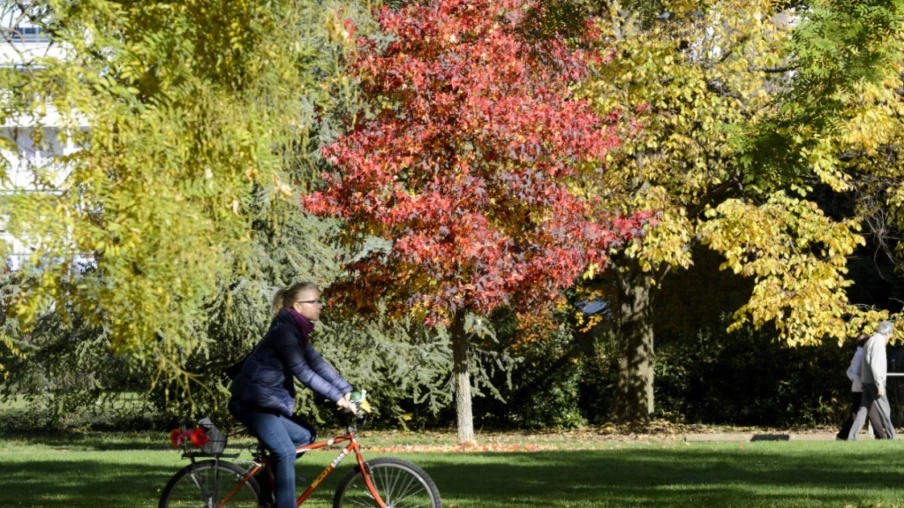 Changement d’heure : risque d’accident nocturne triplé