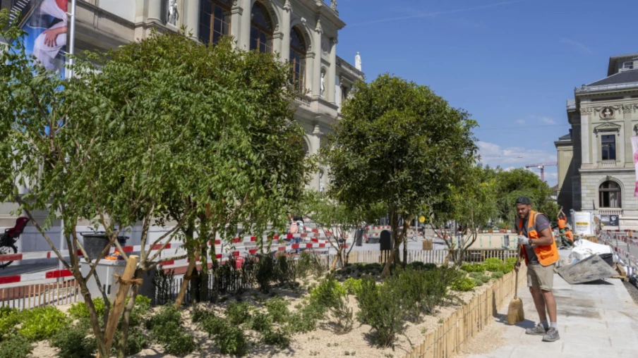 Une nouvelle esplanade végétalisée à la place de Neuve Une nouvelle esplanade végétalisée à la place de Neuve