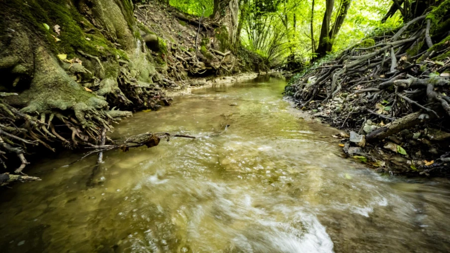 Journée mystères de l'eau à la Maison de la rivière de Tolochenaz