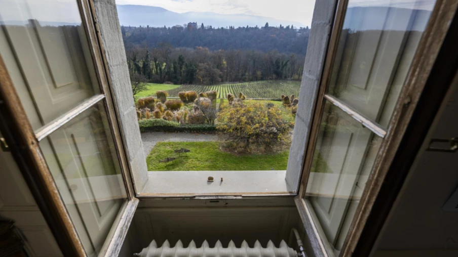 Villa de Zep à Genève: référendaires dénoncent un achat compulsif