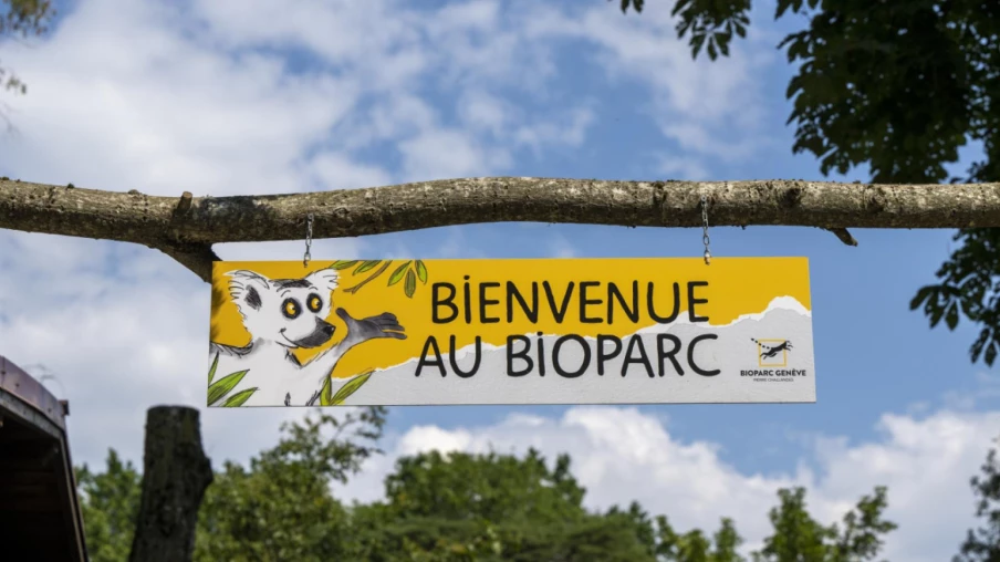 À Genève, 22'684 signatures pour sauver le Bioparc de Belle-Idée