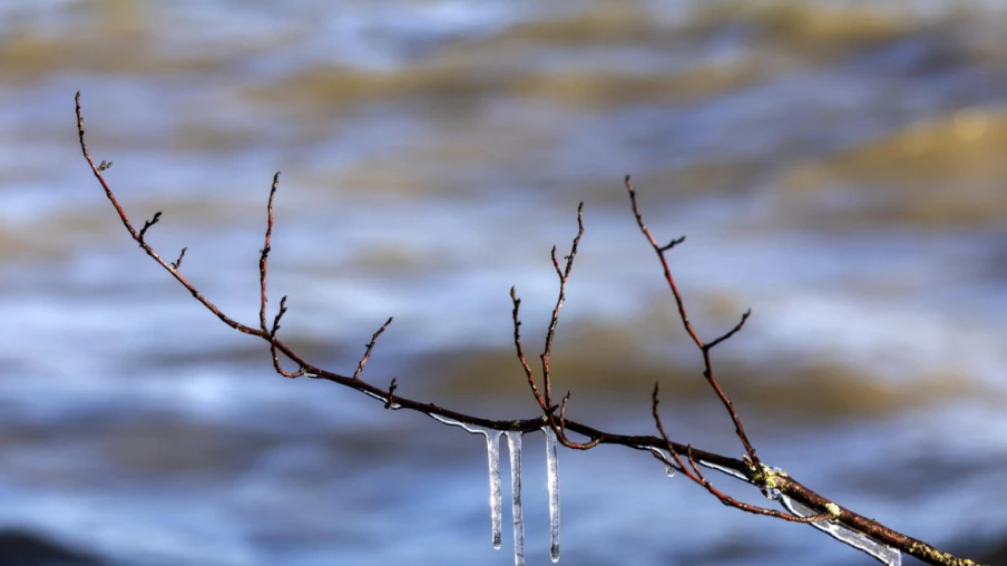 Températures négatives jusque dans les plaines suisses