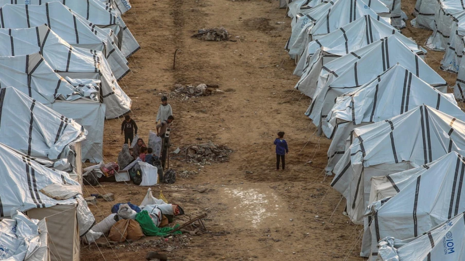 Un palestinien primé à Genève pour la purification de l'eau par plantes