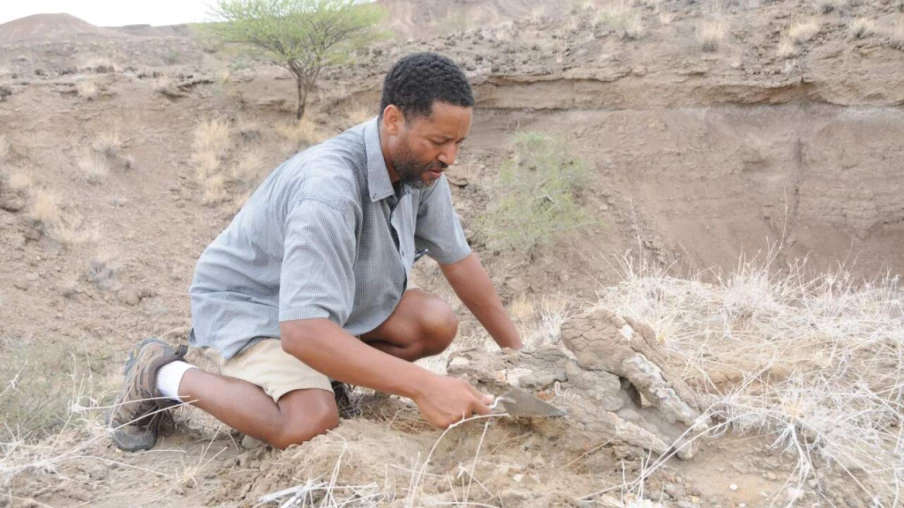 Pied fossilisé en Éthiopie révèle Australopithecus deyiremeda