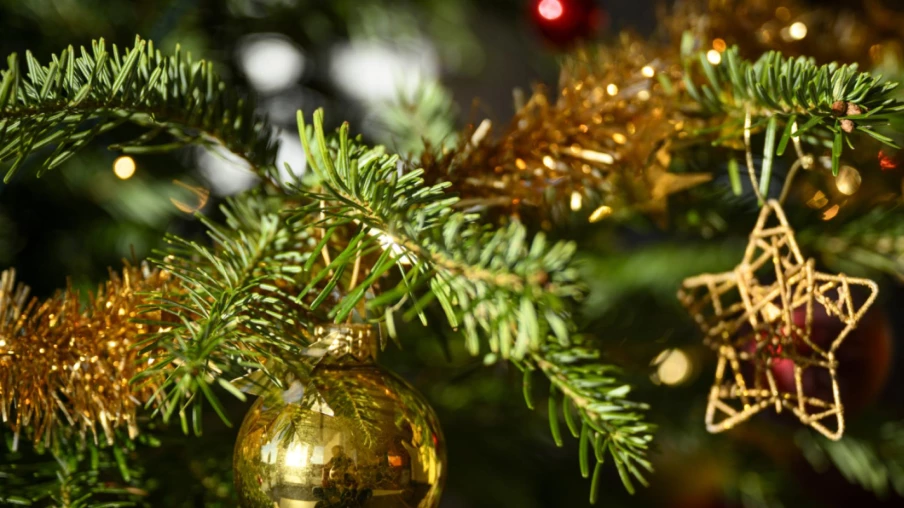 Où aller à Genève pour ne pas passer seul pendant les fêtes