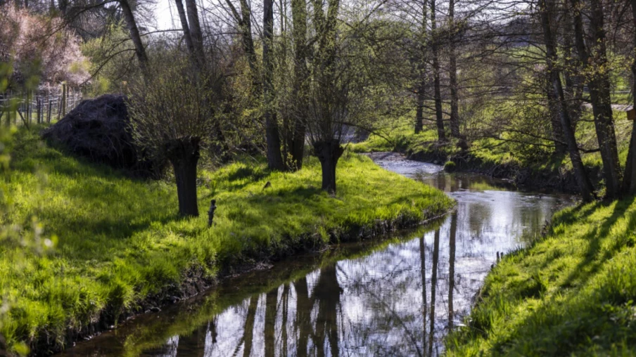 90 indicateurs pour suivre l'état de l'environnement à Fribourg