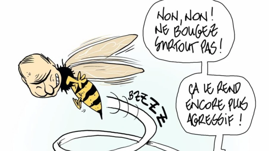 Le jurassien Pitch Comment remporte le Swiss Cartoon Award 2025