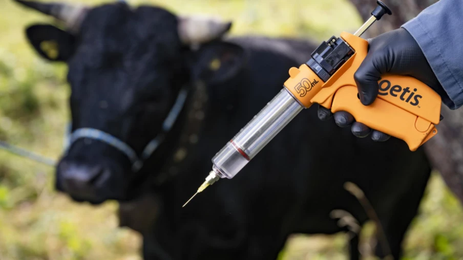 Agriculteurs mécontents de la stratégie d'abattage contre la DNC