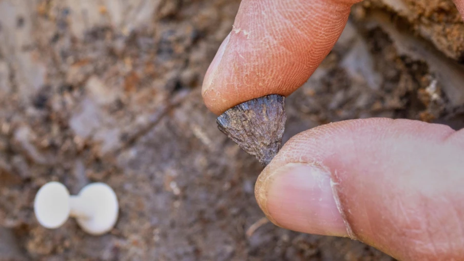 Preuve la plus ancienne de maîtrise du feu au Royaume-Uni — 400 000 ans