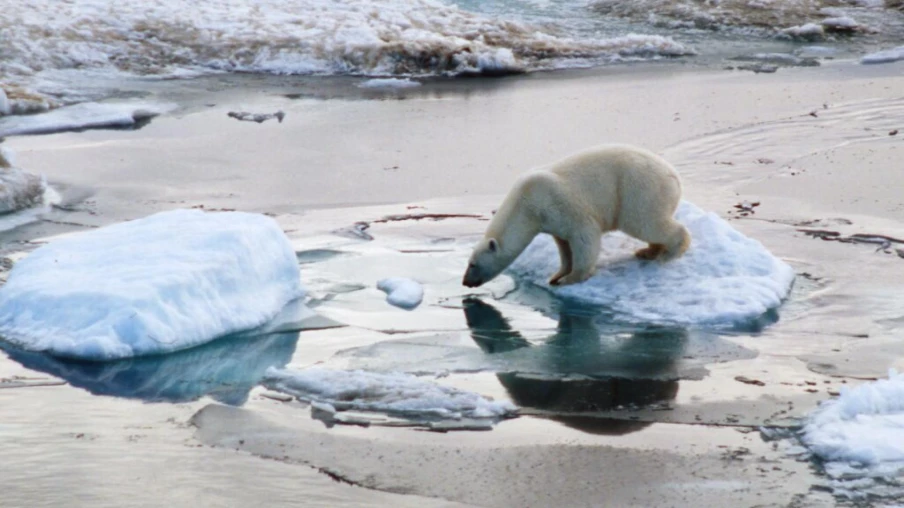 Vernier expose en plein air des linogravures inspirées du Grand Nord
