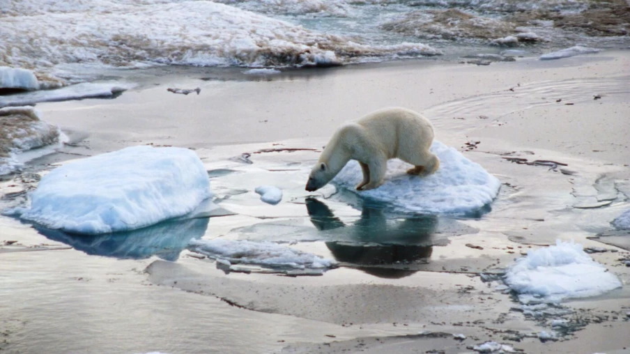 L'Arctique 2024-2025 : année la plus chaude jamais enregistrée