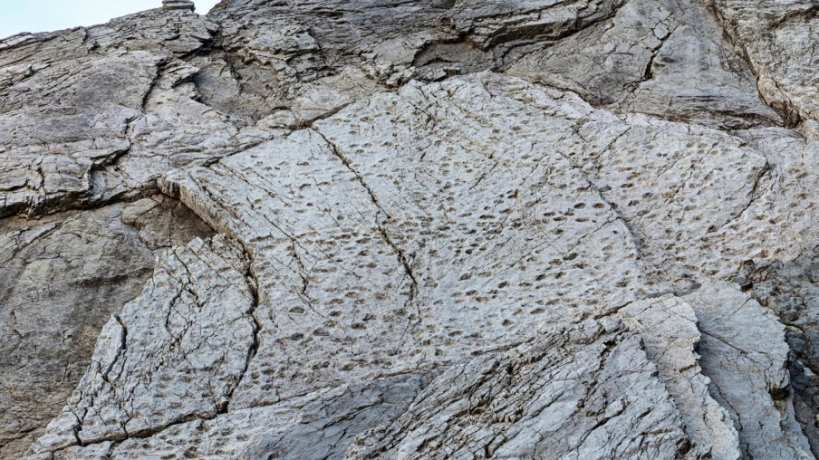 Immense gisement d'empreintes de dinosaures dans les Alpes italiennes