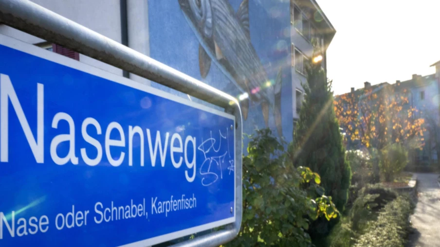 Bâle: internement et électrochocs pour un assassin schizophrène