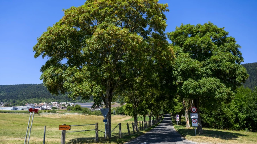 Val-de-Ruz: poursuite de la valorisation paysagère (fontaines, murs)