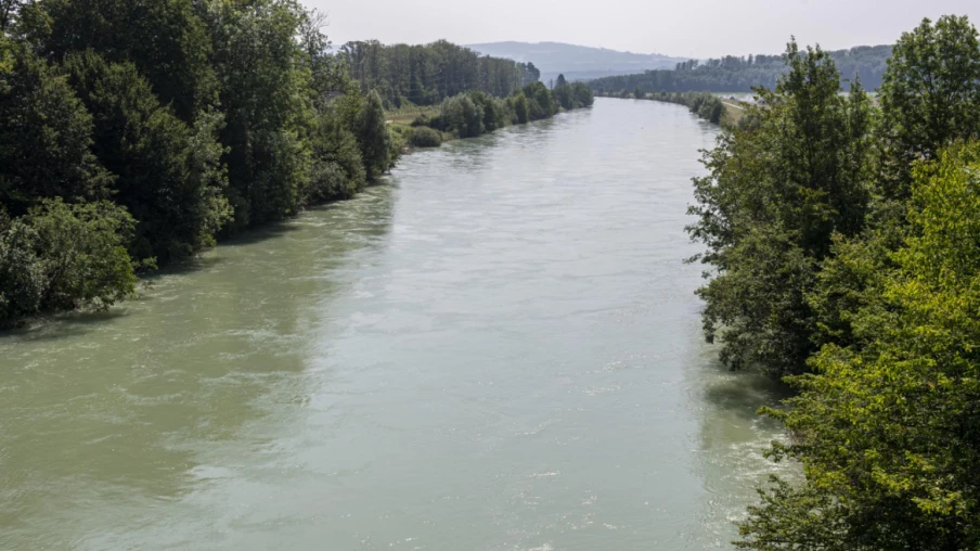 Lac de Bienne: les Verts contre la révision de réserves naturelles