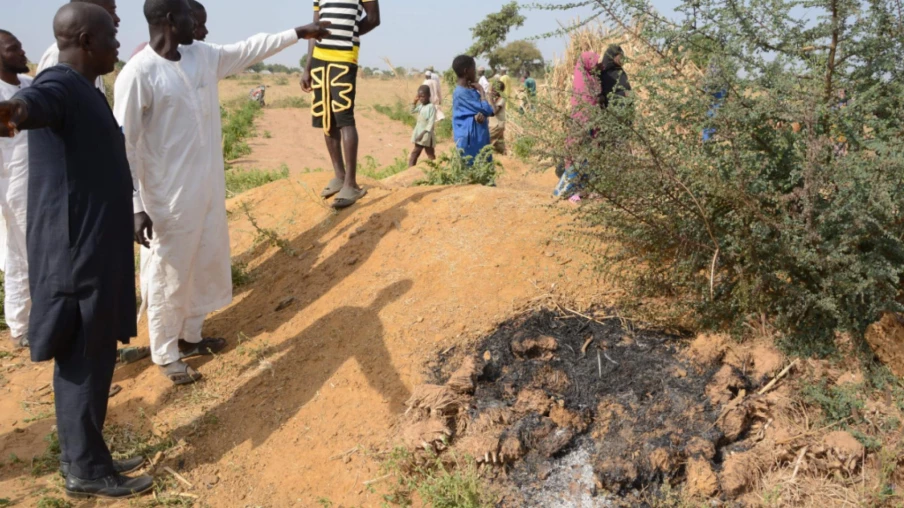 Frappes américaines au Nigeria visant l'EI du Sahel et les Lakurawa